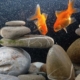Cómo decorar un acuario con rocas para principiantes - PuntoZoo