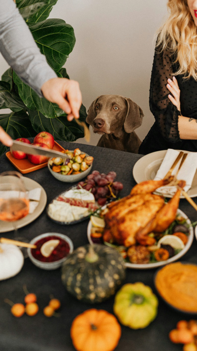 Alimentos navideños peligrosos para perros como chocolate y uvas